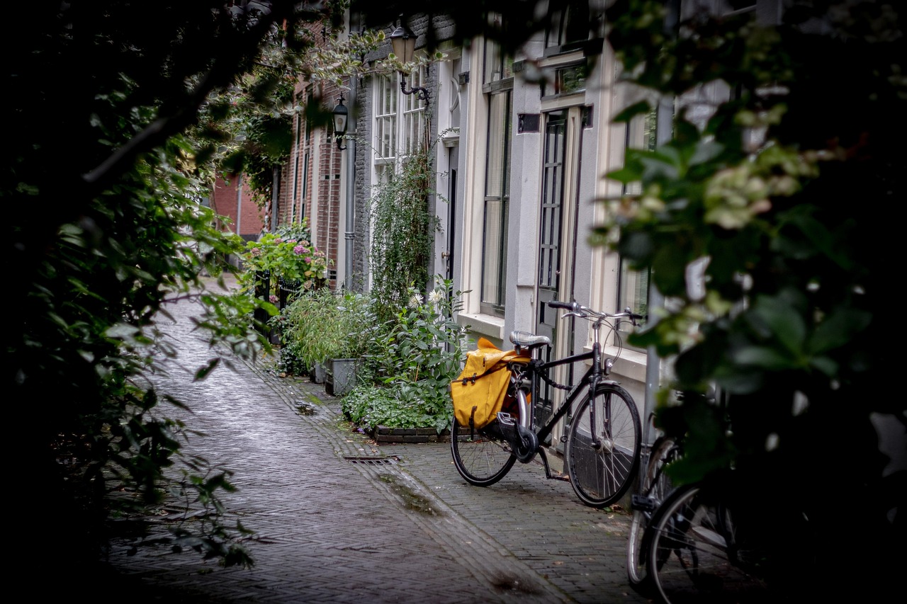 Concrete That Breathes: Permeable Pavement and the Future of Stormwater